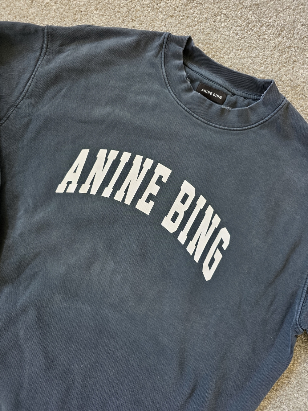 Anine Bing Tyler Crewneck Sweatshirt - Picture 2 of 2
